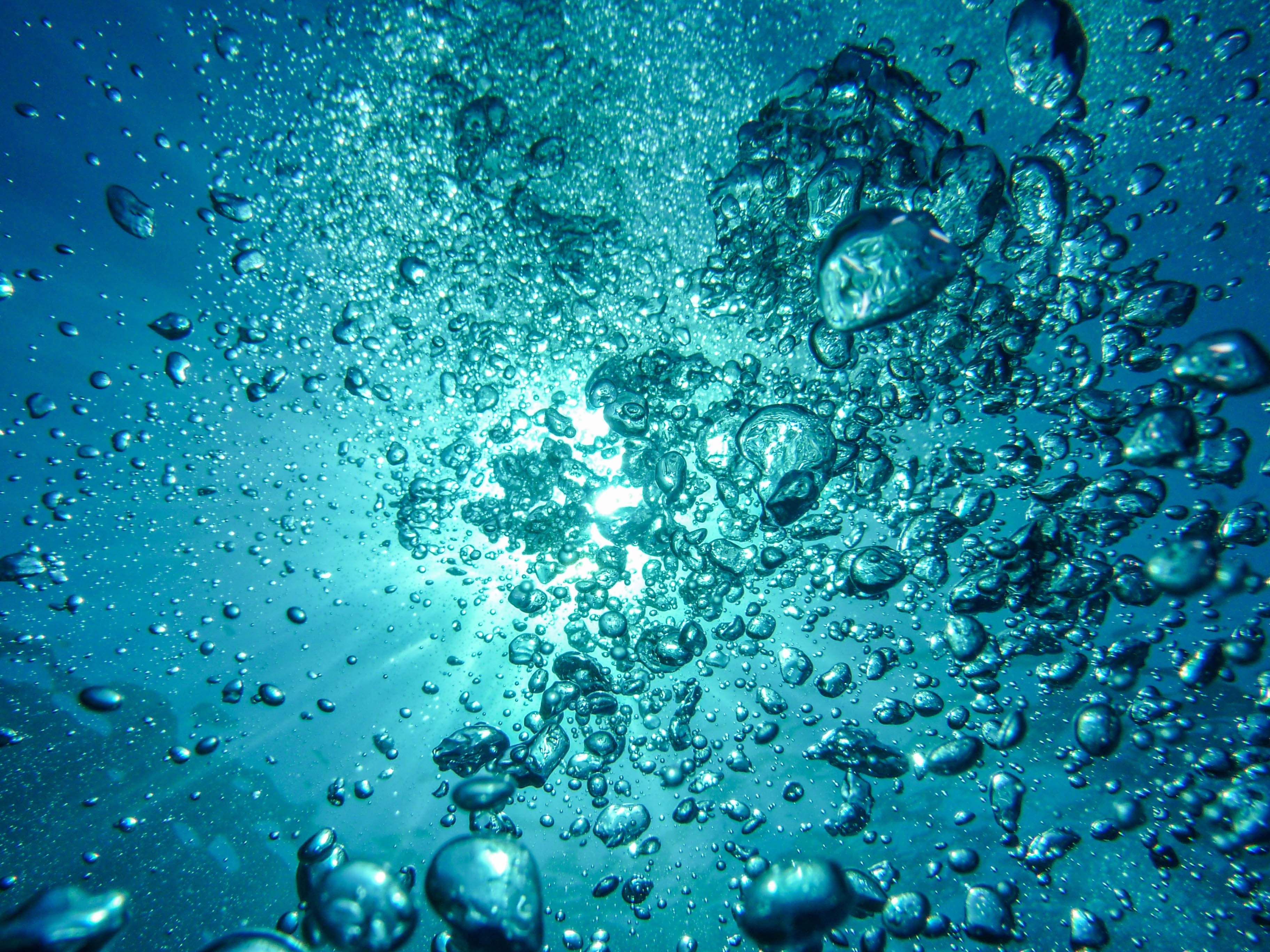 Is Water Wet